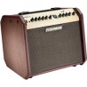COMBO FISHMAN PARA GUITARRA LOUDBOX MINI BLUETOOTH