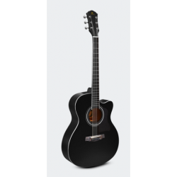 Guitarra Texana Segovia C/ Resaque NG Mate 6 Cuerdas