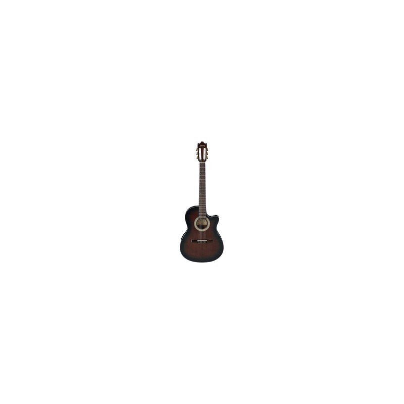 Guitarra Electroacustica Ibanez Sombreada