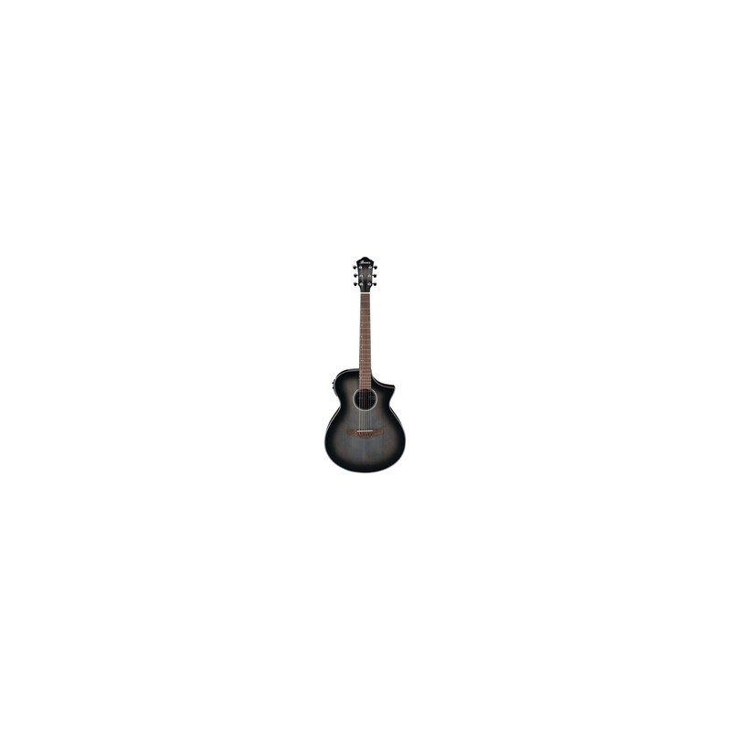 Guitarra Electroacustica Ibanez AEWC11