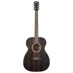 GUITARRA WASHBURN EACUST. MOD. EBONY FE