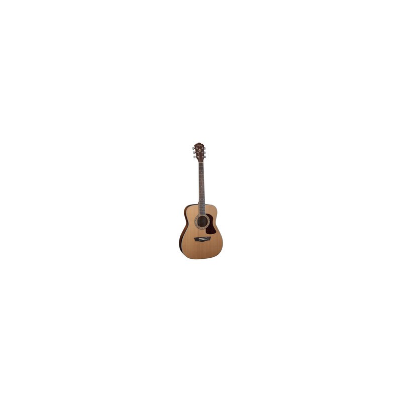GUITARRA WASHBURN TEXANA     F11S