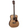 GUITARRA WASHBURN TEXANA     F11S