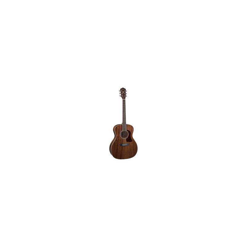 GUITARRA WASHBURN TEXANA    G12S