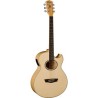 GUITARRA ELECTRO-ACUSTICA WASHBURN EA20